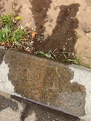 WET SPOTS! - Japarn porn pics at JapHole.com