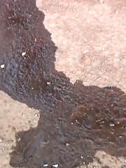 SHOWIN' THE GO! - Japarn porn pics at JapHole.com