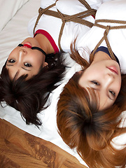 Dimdim Asian and nasty babe in t-shirts are tied in ropes on bed - Japarn porn pics at JapHole.com