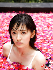 Airi Suzuki Asian in bath suit enjoys petals all over her body - Japarn porn pics at JapHole.com