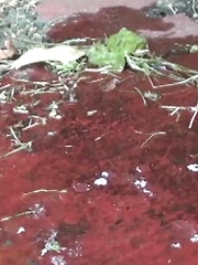 Park, Piss, Surprise! - Japarn porn pics at JapHole.com