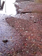 Piddle Here, Puddle There 2 - Japarn porn pics at JapHole.com