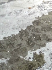 Piddle Here, Puddle There 2